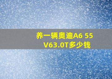 养一辆奥迪A6 55 V63.0T多少钱